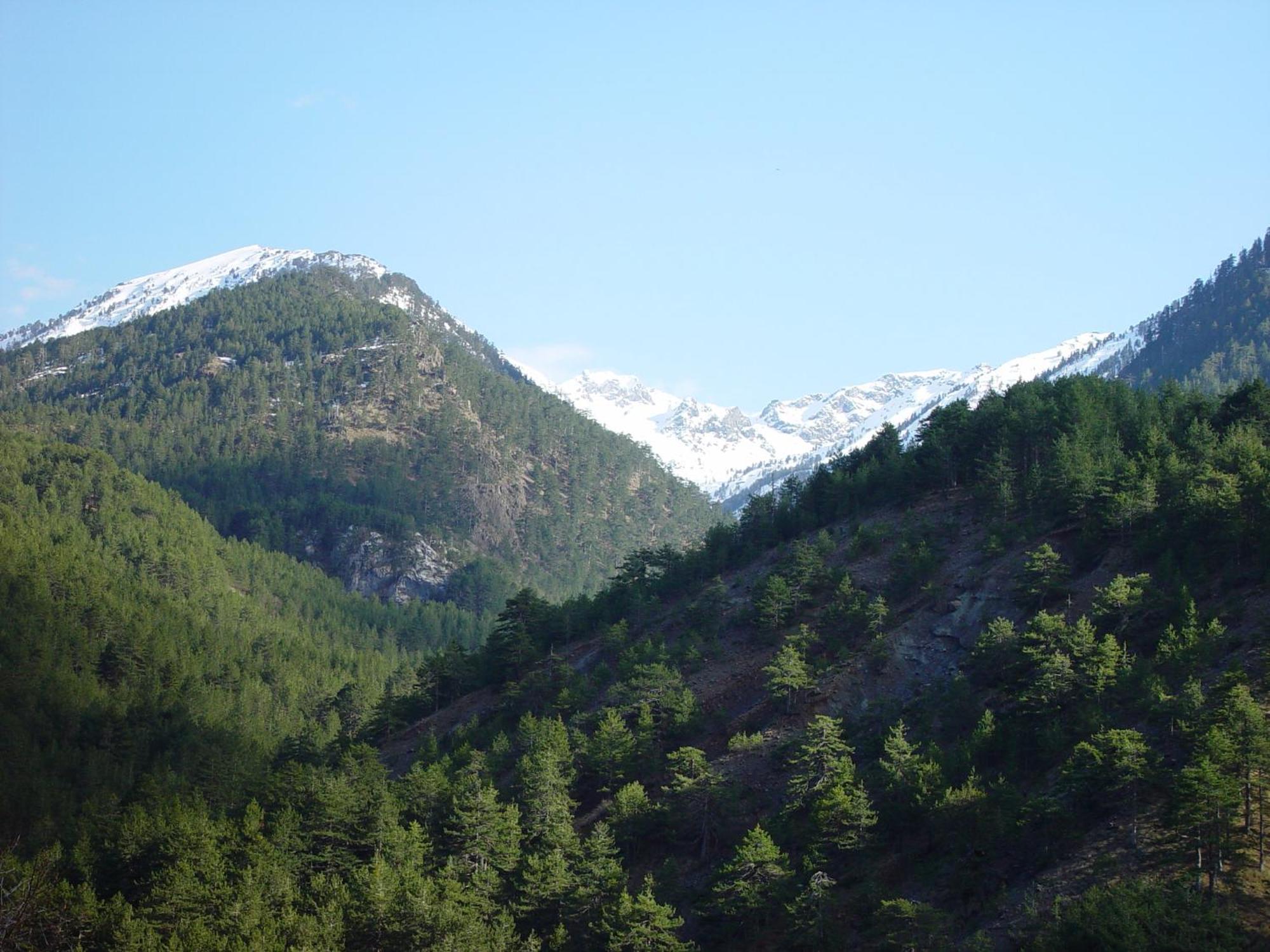Mary's Zagori Boutique *