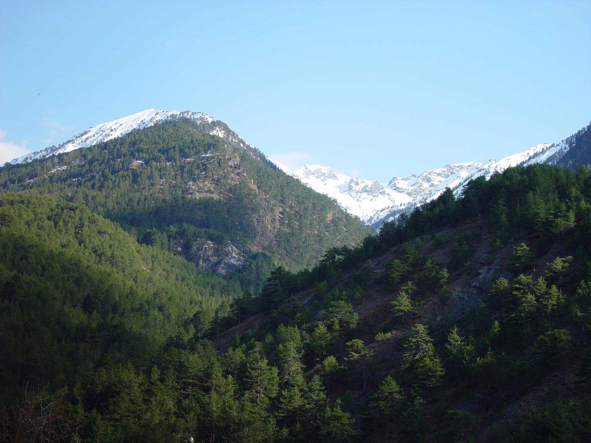 Mary's Zagori Boutique Villa *